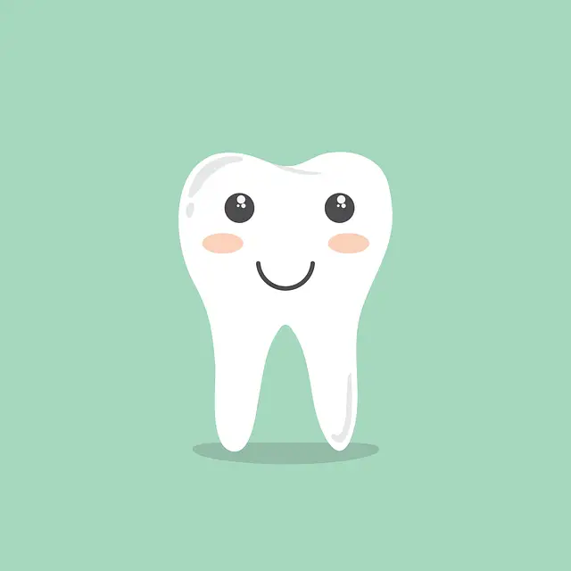 tooth-1670434_640
