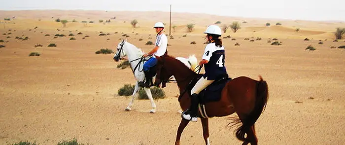 Horse Riding in Dubai